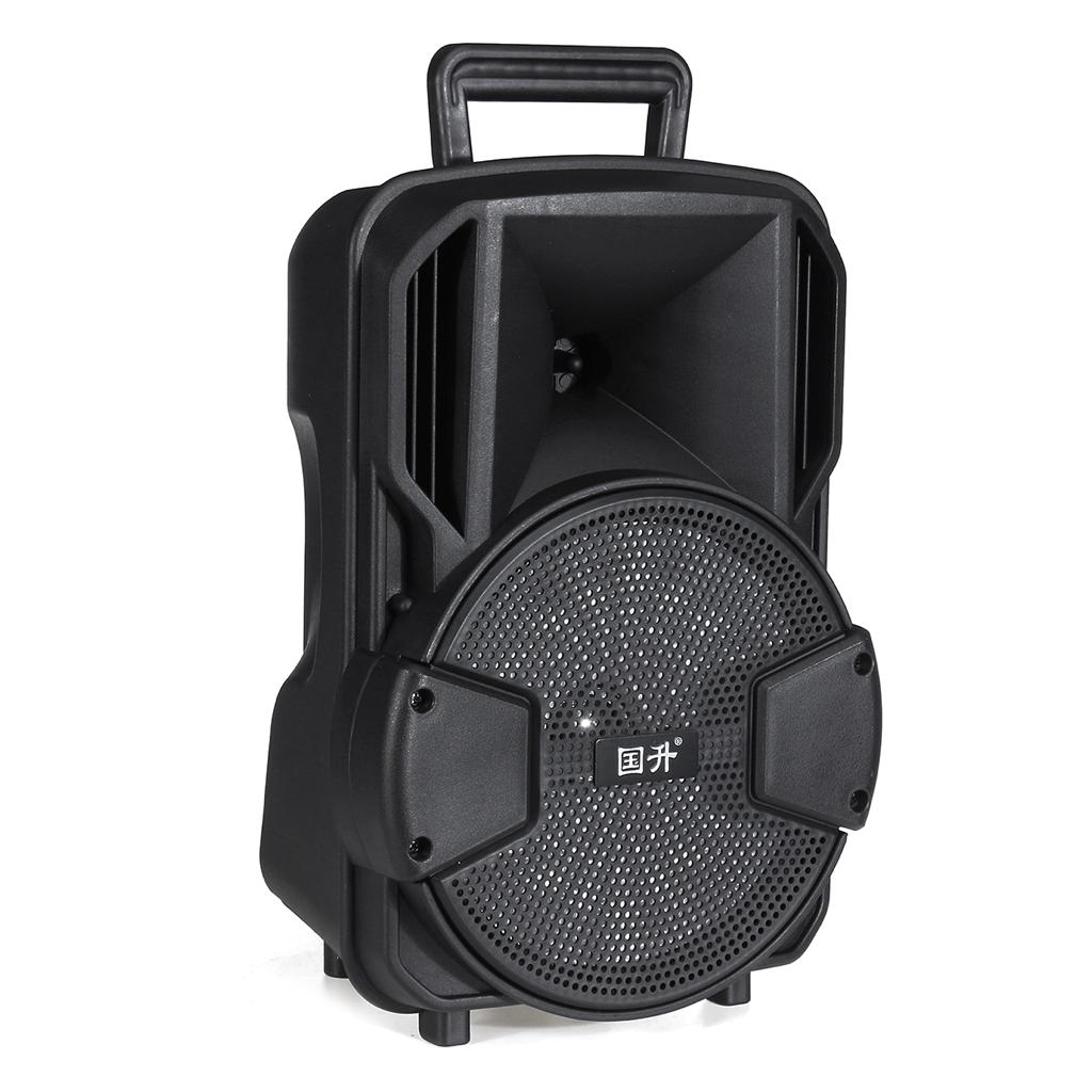 WIRELESS SPEAKER 8" INCH W-791
